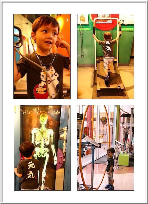 Robot Zoo
