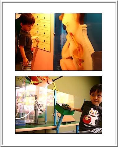 Robot Zoo