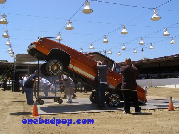 Pro Hopper Rides. | Page 3 | LayItLow.com Lowrider Forums