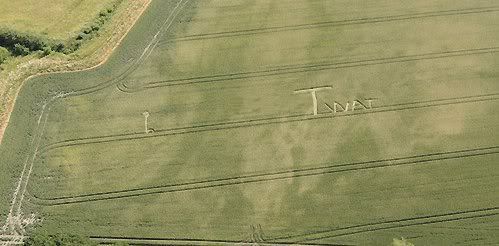 newcropcircle2.jpg
