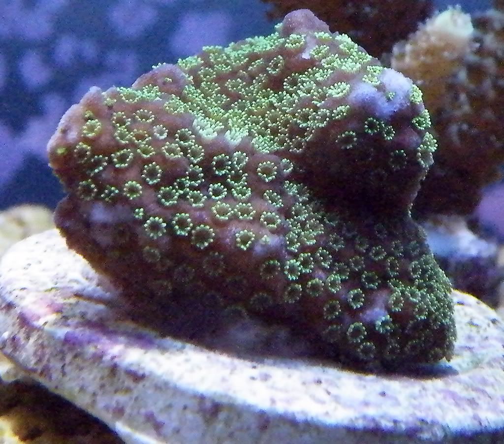 DSCF5243.jpg