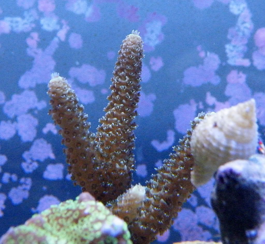 DSCF5247.jpg