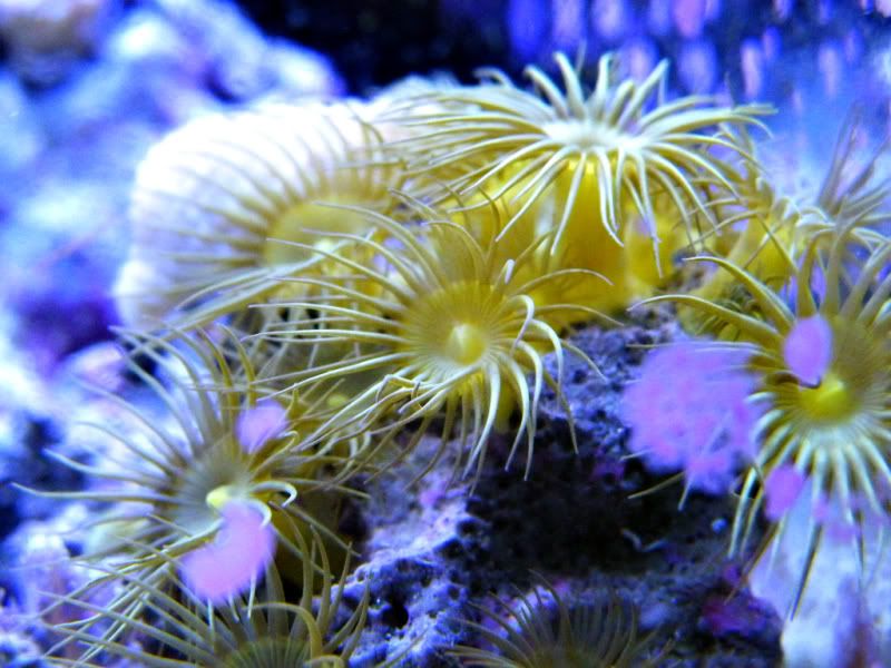 photo6.jpg