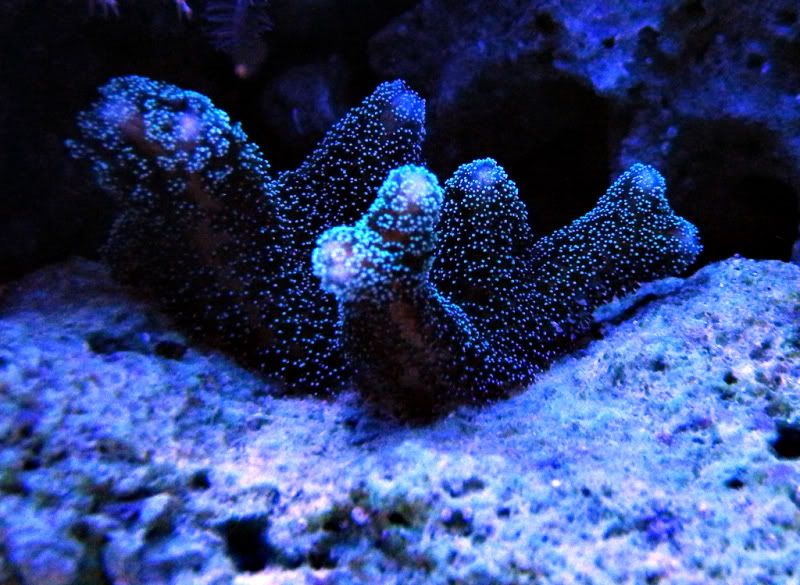 photo7.jpg