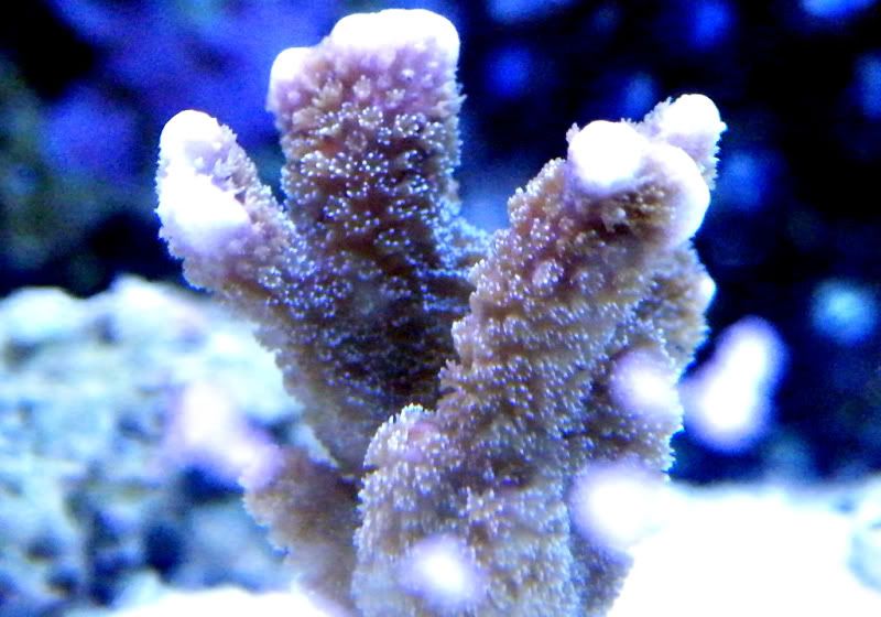 photo8.jpg