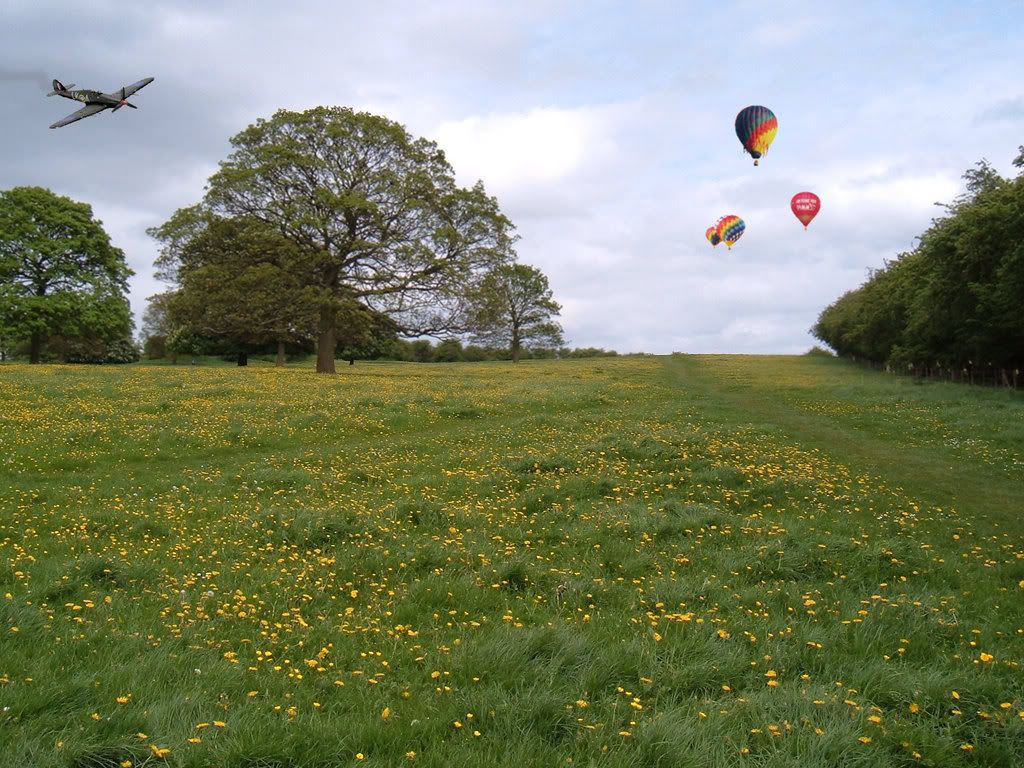 English-Countryside-field.jpg