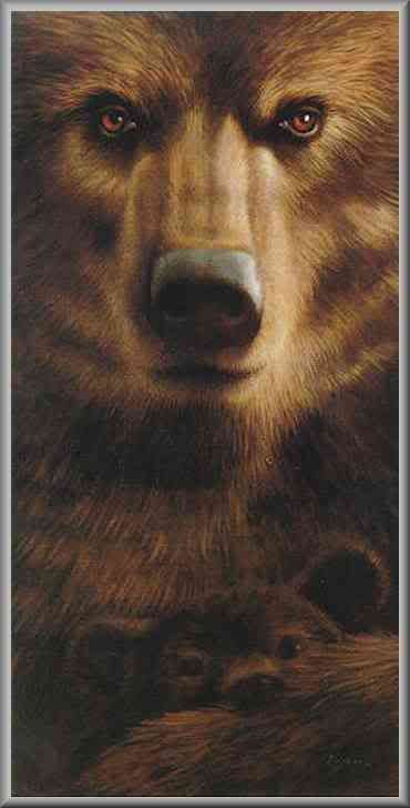 bears.jpg Bears image by rosehear398