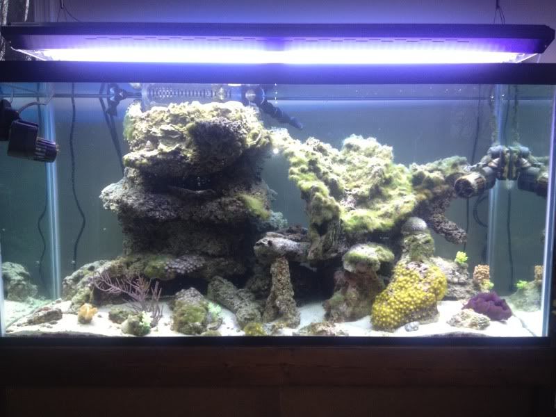 FishTank001.jpg