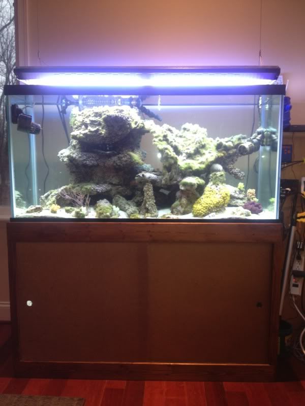 FishTank003.jpg