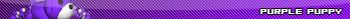 purplepup.jpg