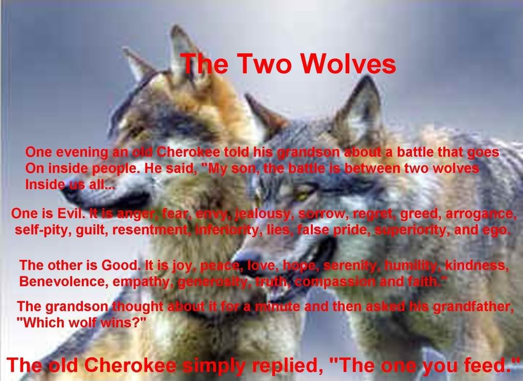 TWO WOLVES Pictures, Images and Photos