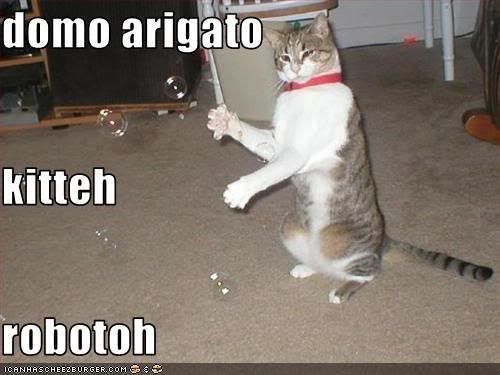 funny-pictures-cat-does-a-robotic-d.jpg