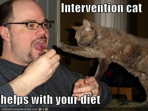 funny-pictures-intervention-cat-hel.jpg