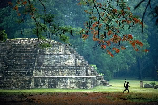 bellavintage,honduras,mayan ruins