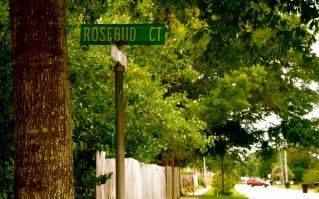 Rosebud Ct