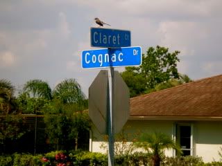 Cognac