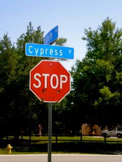 Cypress