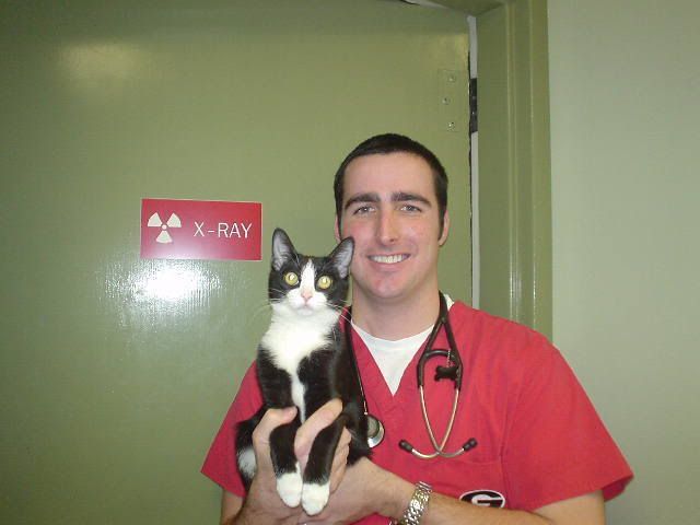 Brad at vet holding a cat Pictures, Images and Photos