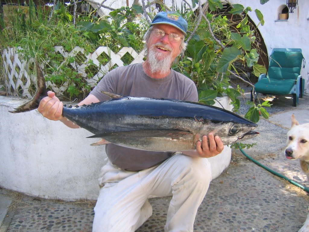 25 lb Albacor Tuna