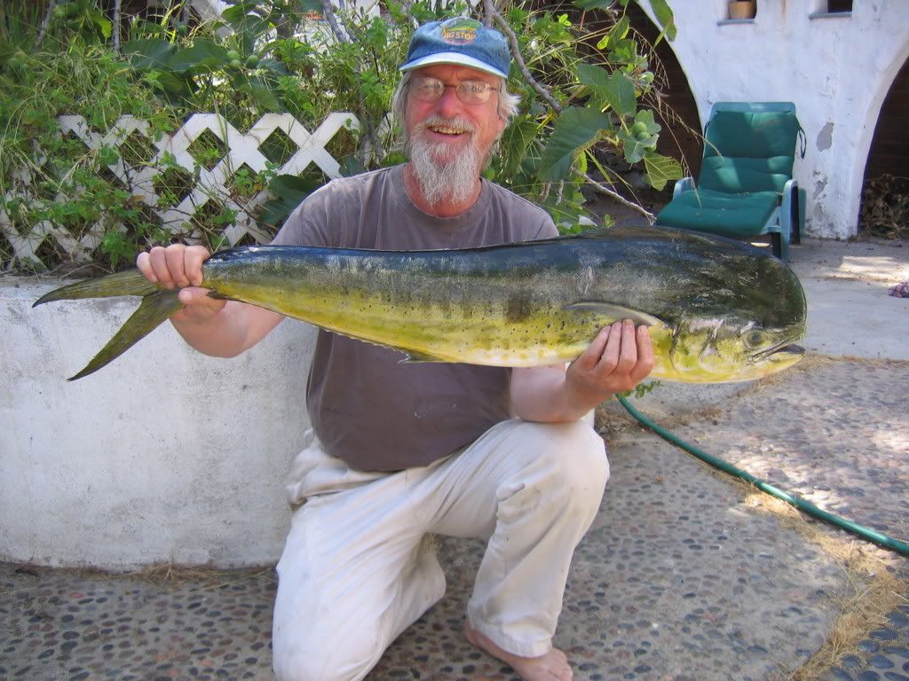 10 lb Dorado