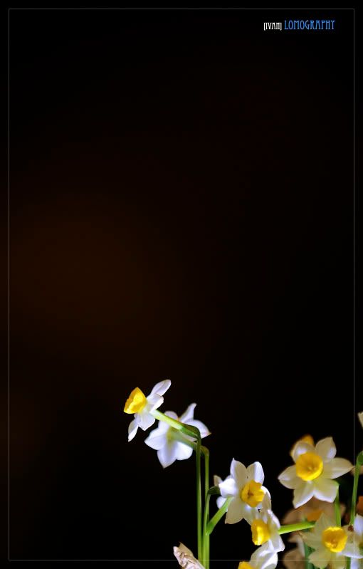 DSC_6218.jpg