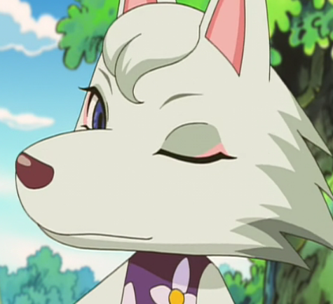 whitney_zpse723ed2b.png