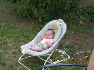 Harper at 6 weeks....enjoying some time in the shade!