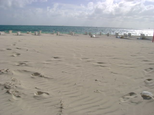 Beach after Wind Storm