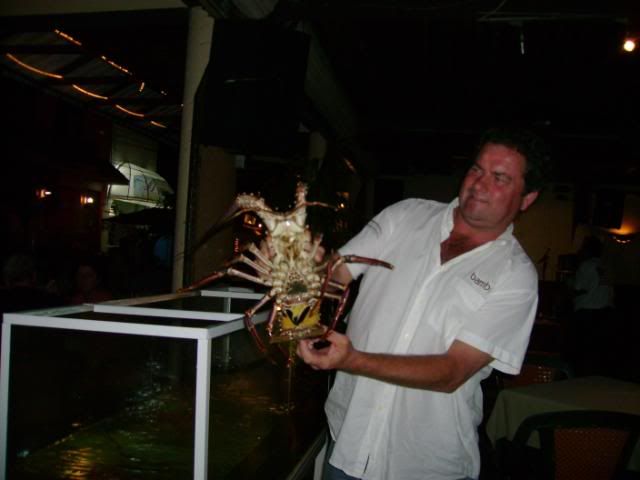 Rob & Lobster,Bamboo