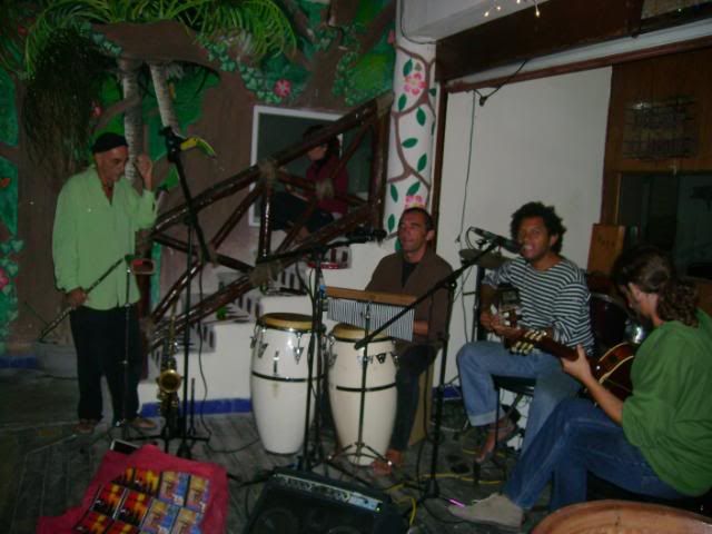 Indica,Faynes