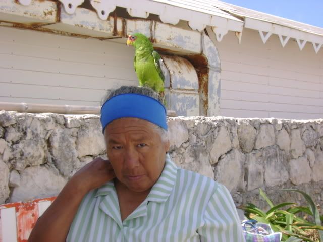 Parrot on Owners Head