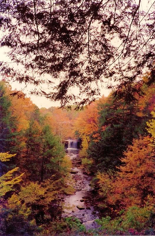 scan0026.jpg