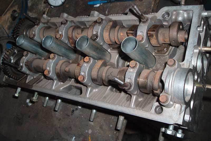 fehead04.jpg
