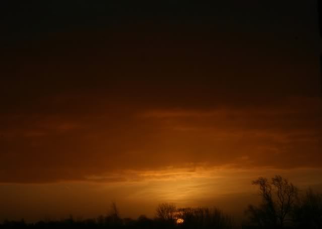 sunrise4small-1.jpg