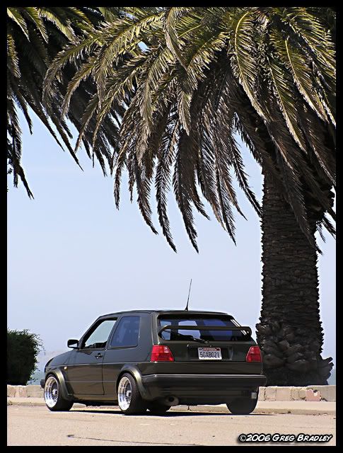 andrew_081.jpg?t=1167926345