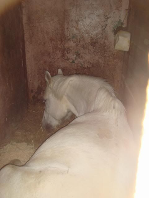 DSC00284.jpg