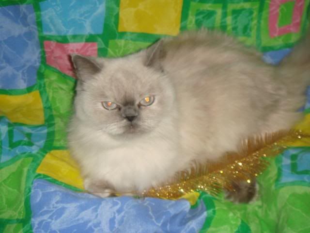 DSC00631.jpg