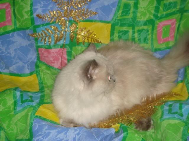 DSC00632.jpg
