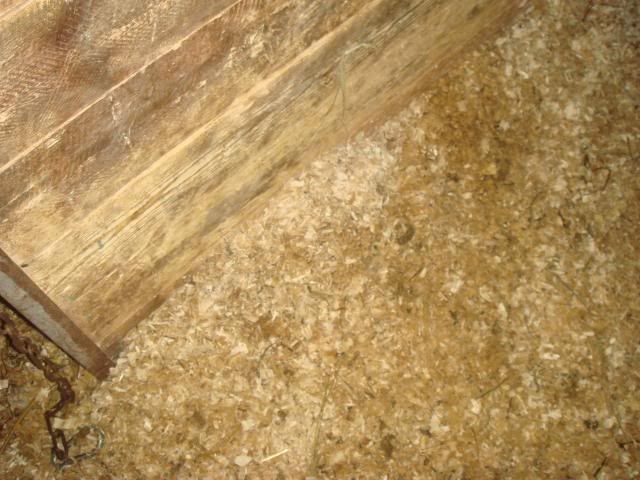 DSC00681.jpg