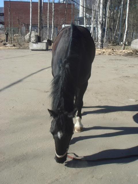 DSC00748DSC00748.jpg