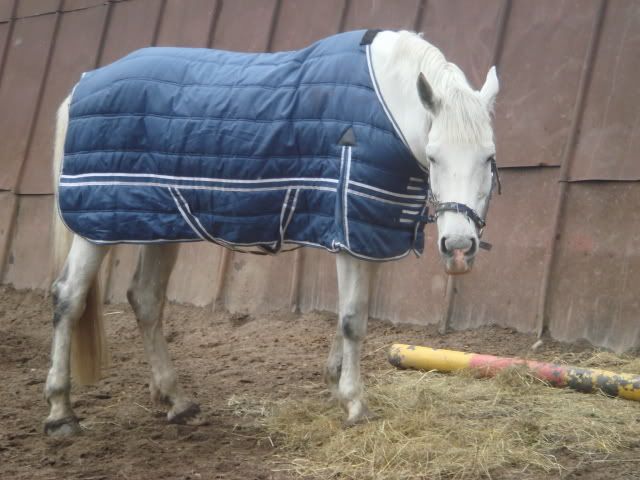 DSC01063DSC01063.jpg