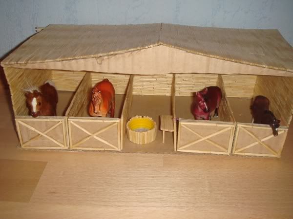 DSC01306.jpg