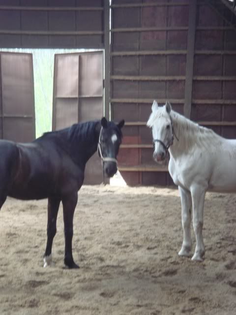 DSC01585.jpg