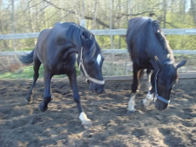 DSC01699.jpg