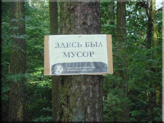 DSC03860.jpg
