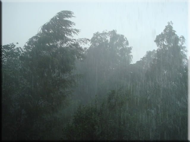 DSC03873.jpg