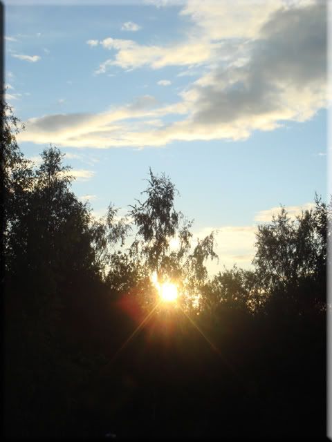 DSC03899.jpg