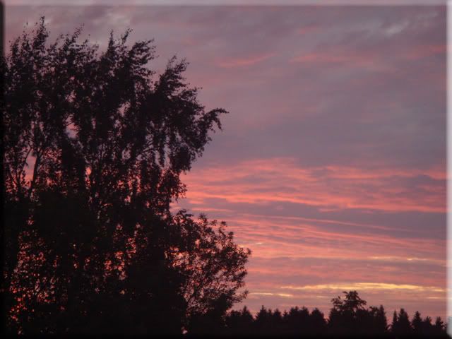 DSC04121.jpg