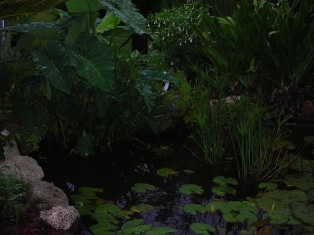 waterscape