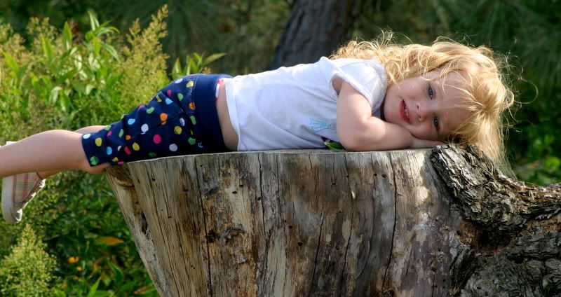 IMAGE: http://i127.photobucket.com/albums/p145/romig13/IMG_0114a-1.jpg